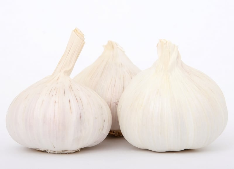 Artisanal Flavors